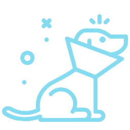 a dog with a cone around it's neck icon